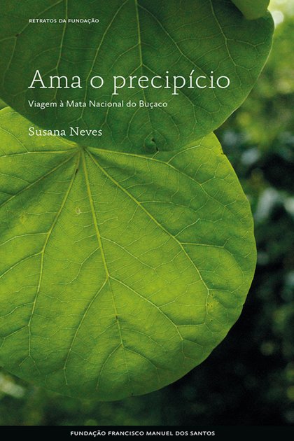 Ama o Precipicio Viagem a Mata – Susana Neves