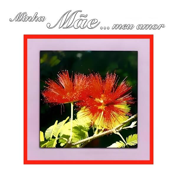 Vários Artistas – Minha Mãe Meu Amor (2000)