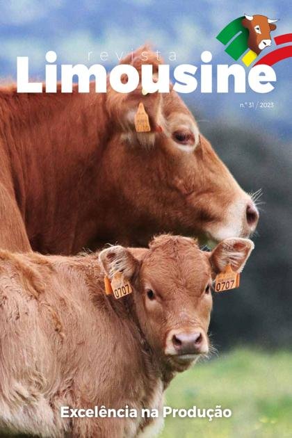Limousine – Maio 2023
