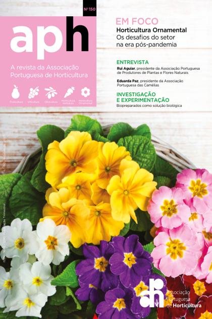 APH – Outubro 2023
