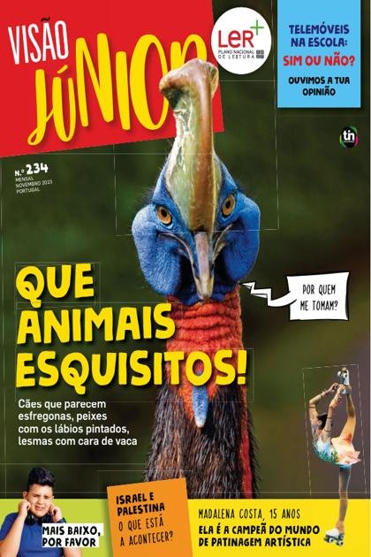 Visão Júnior – Novembro 2023