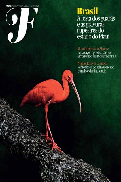 Fugas Público – 6/01/2024
