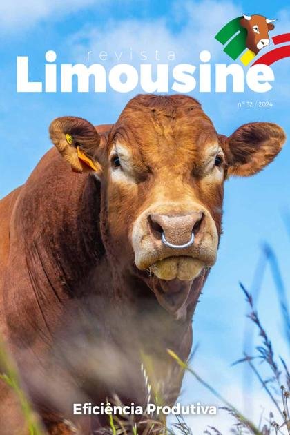 Limousine – Maio 2024