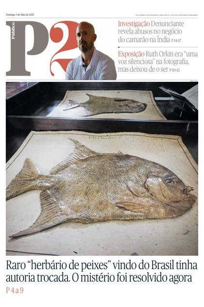 Público P2 – 5/05/2024