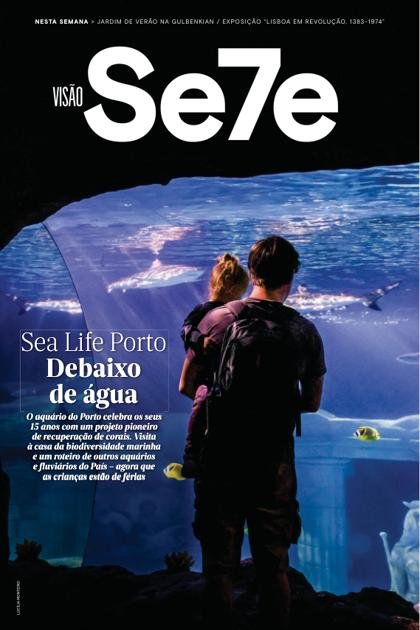 Se7e Visão – 20/06/2024