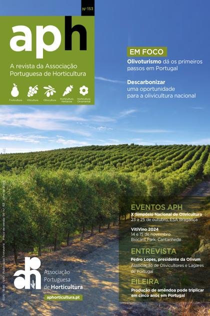 APH – Julho 2024
