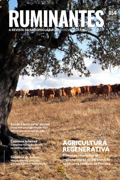 Ruminantes – Julho 2024