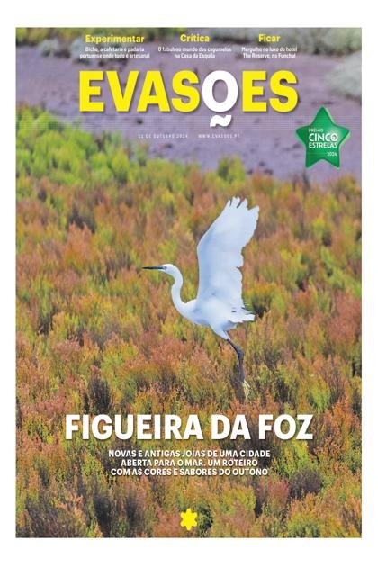 Evasões – 11/10/2024