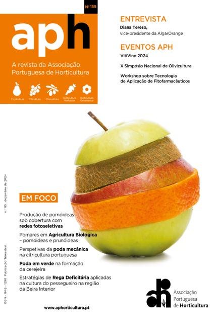 APH – Dezembro 2024