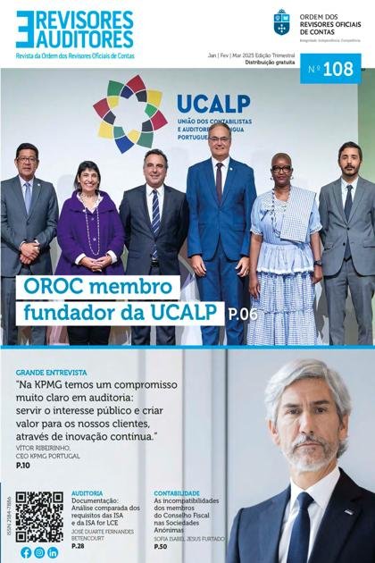 Revisores e Auditores – Janeiro 2025