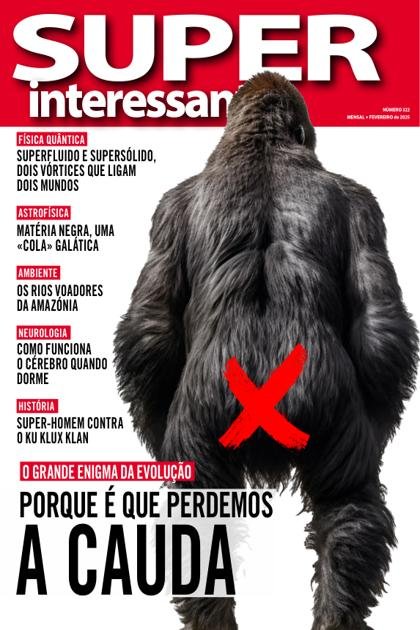 Super Interessante – Fevereiro 2025