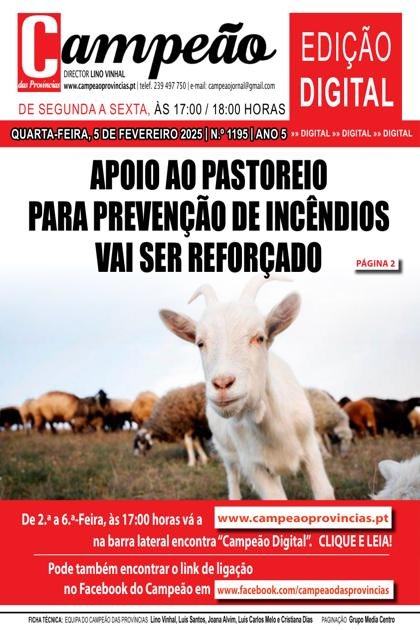 Campeão Digital – 5/02/2025