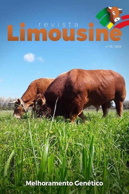 Limousine – Maio 2025