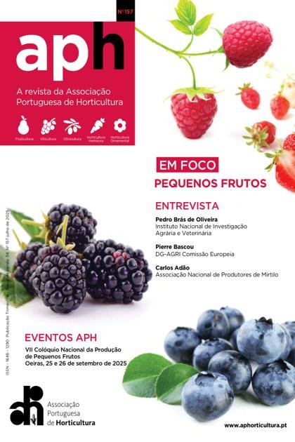 APH – Julho 2025