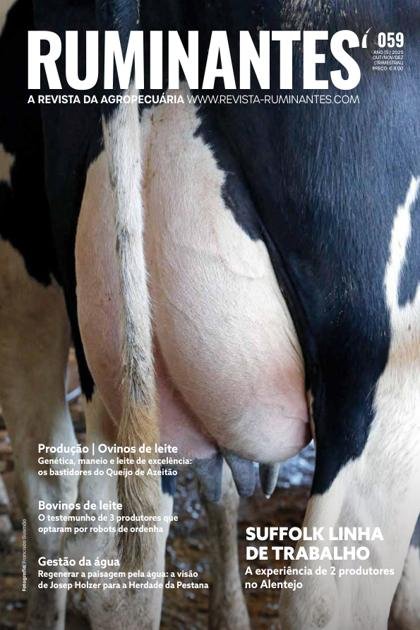 Ruminantes – Outubro 2025