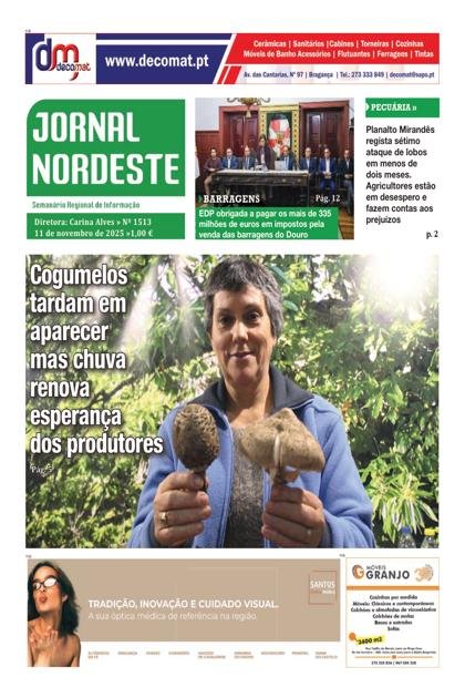 Jornal Nordeste – 11/11/2025
