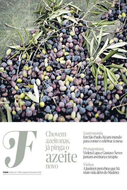 Fugas Público – 22/11/2025