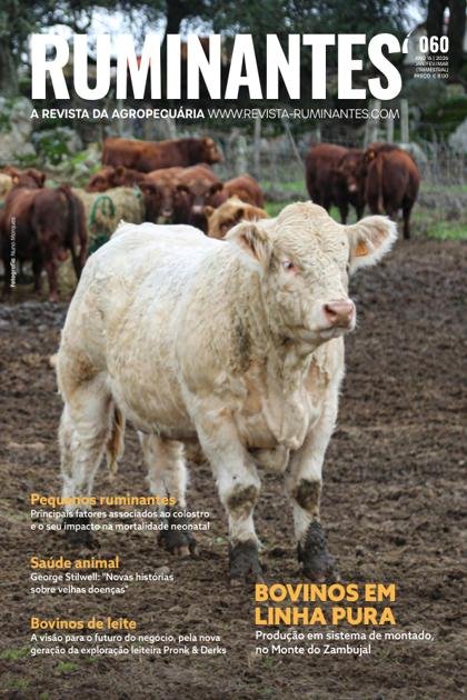 Ruminantes – Janeiro 2026