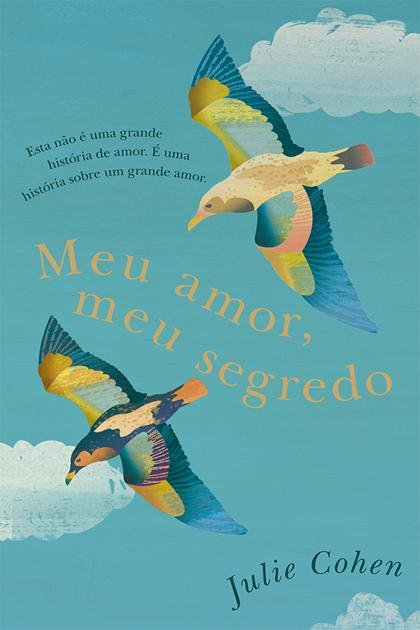 Meu amor, meu segredo – Julie Cohen